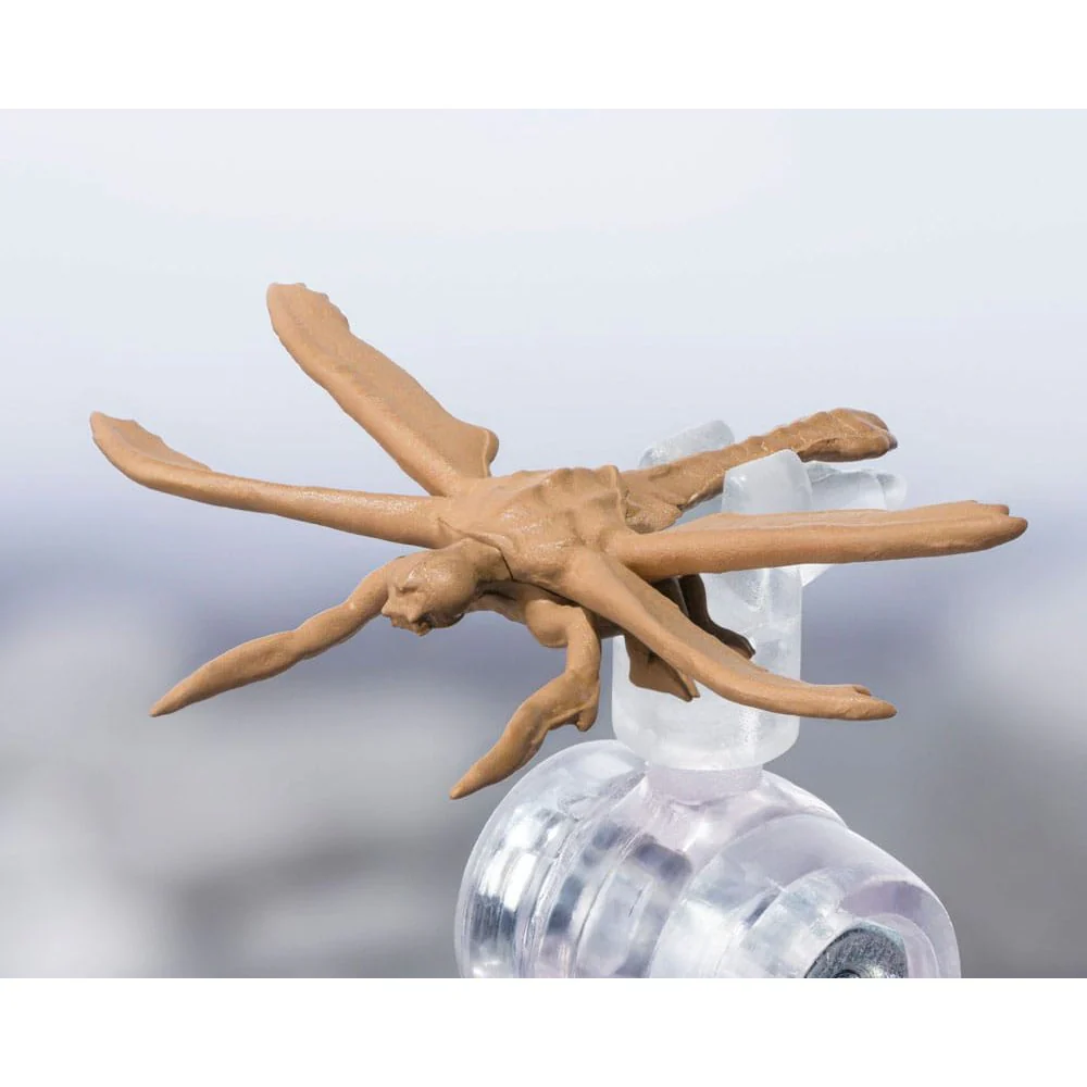 Vorschaubild 7